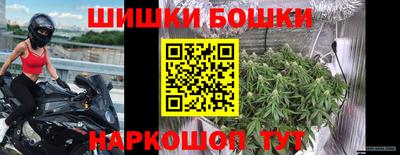 крисы Будённовск